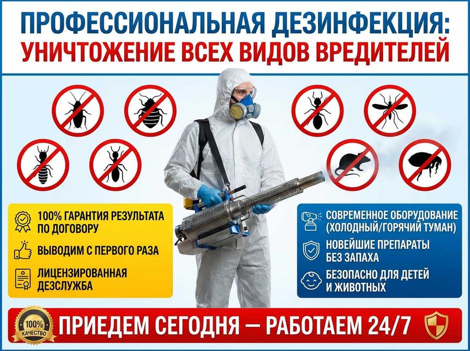 Дезинсекция от насекомых, запаха с гарантией. Озонирование