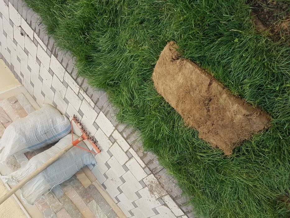 Sifatli gazon rulonliy (salafanli)