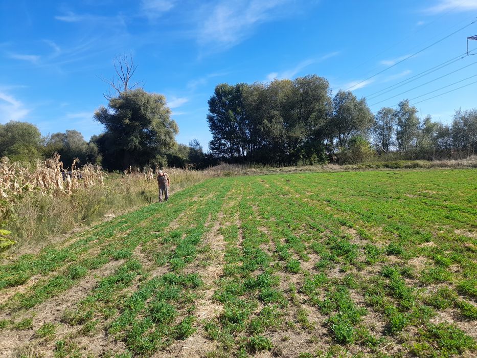 Продава се Парцел в Костинброд - 800 кв.м за 22 €/кв.м - Снимка #1