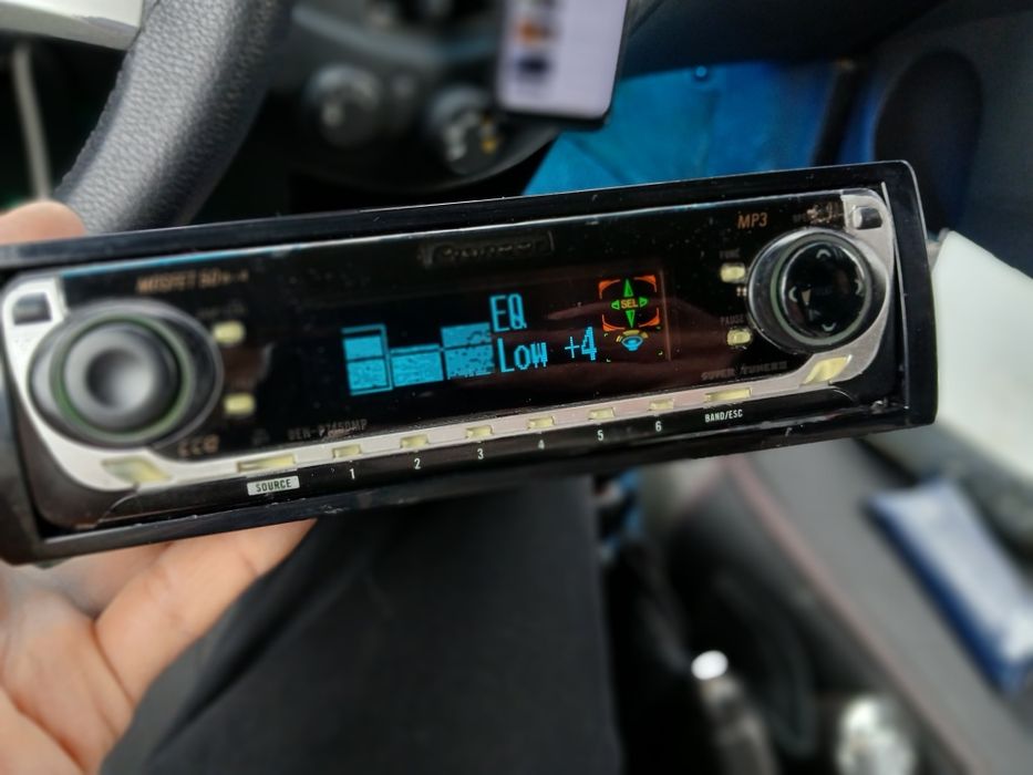 Pioneer delfin mafon