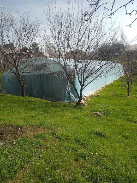 Ховли дача сотилади