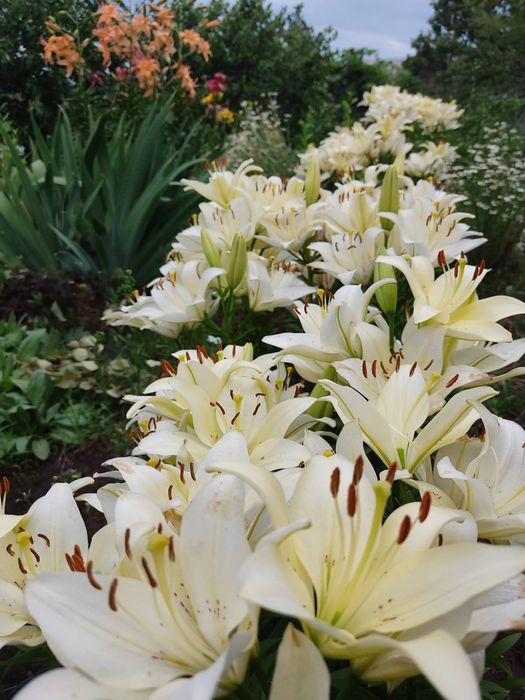 Продается шикарный участок.