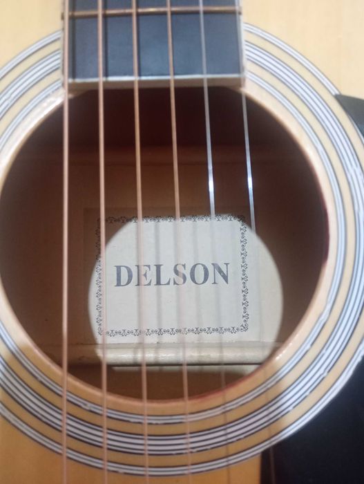 Chitara acustica Delson + husa