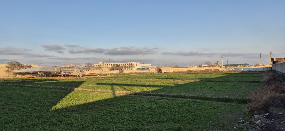 Ишлаб чикариш учун ер сотилади