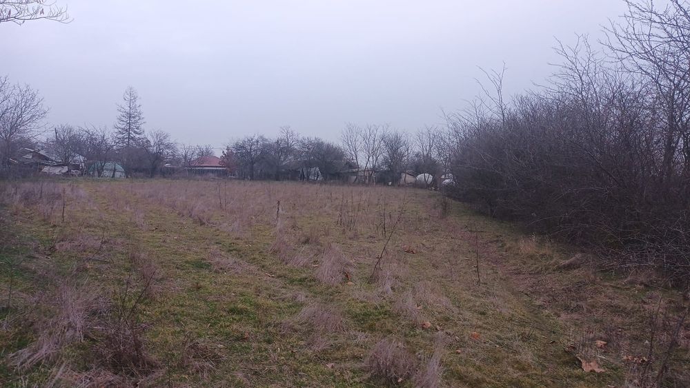 Teren de vânzare 1165 mp, Teleorman com. Bujoreni sat. Prunaru