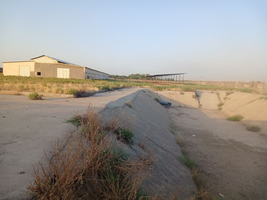 Здание и сооружение, Большая современная ферма