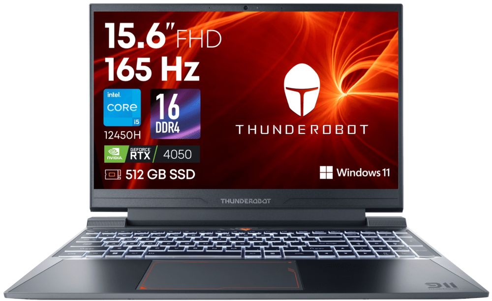 ThundeRobot 911 X Wild Hunter G2L 15.6" / 16 Гб