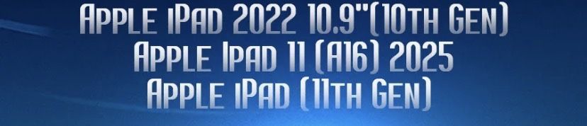 Чехол книжка для ipad 10/11