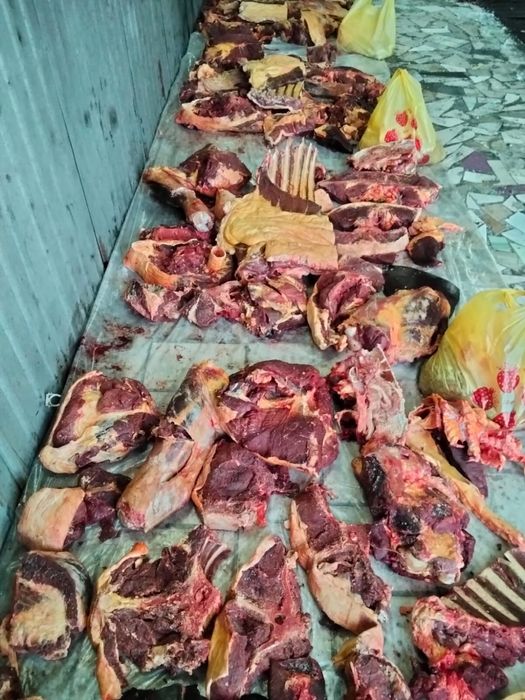 Мясо конины частями !