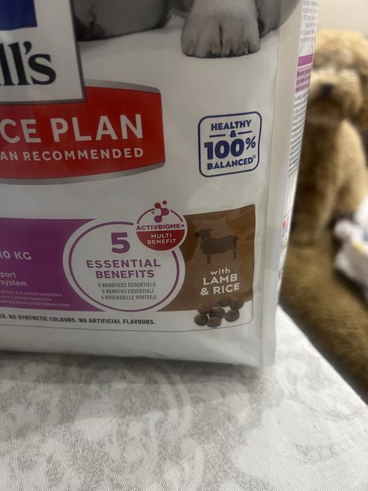 Hill’s puppy lamp and rice