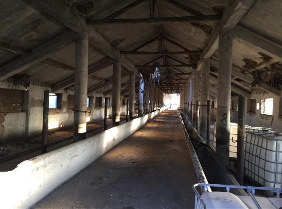 Продава се Парцел в Елхово - 4337 кв.м за 23 €/кв.м - Снимка #4