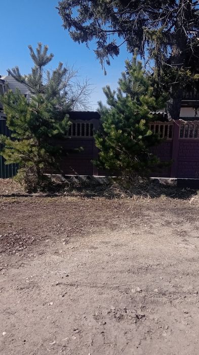 Продам дом по ул.Боровская