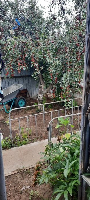 Продам дом район Парк Кирова