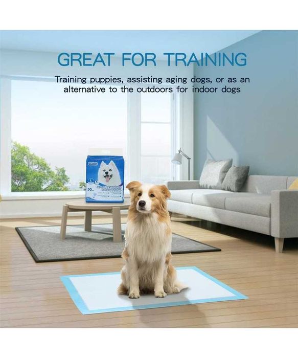 Set 30 covorase absorbante, 90x60cm, antiderapante caini