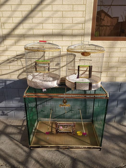 Клетка для разных птиц. Qafas xar xil qushlarga.