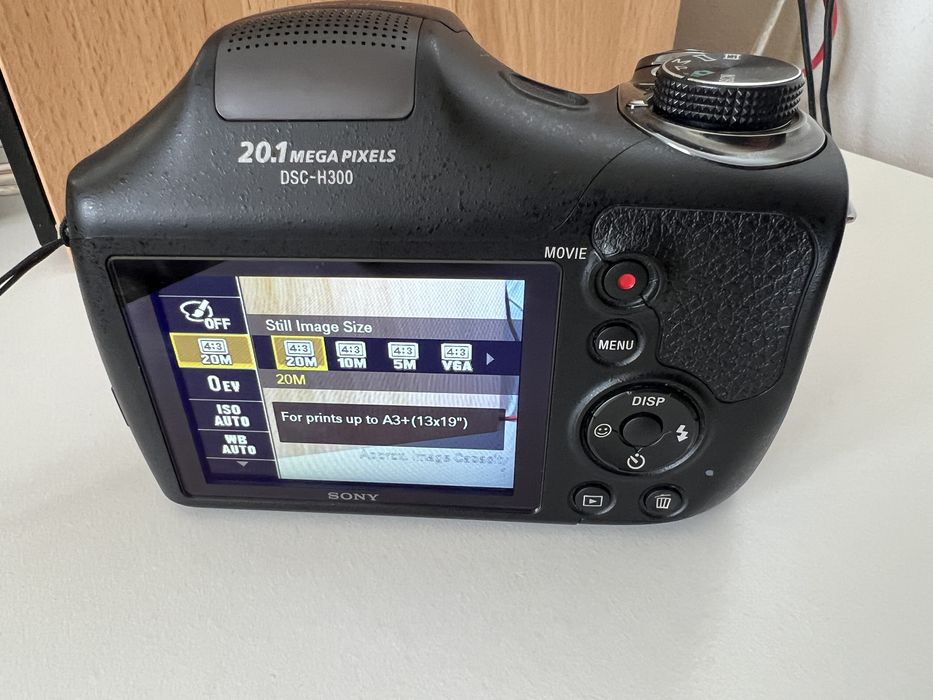 Sony DSC-H300 20mp
