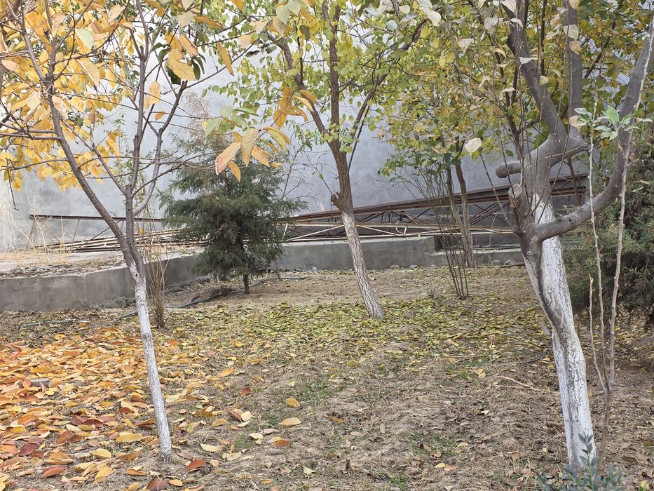 Tayyor temir ferma bor !!!