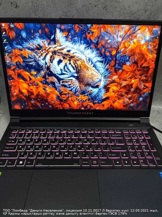 Ноутбук Thunderobot Петропавловск Букетова 53 лот 853039