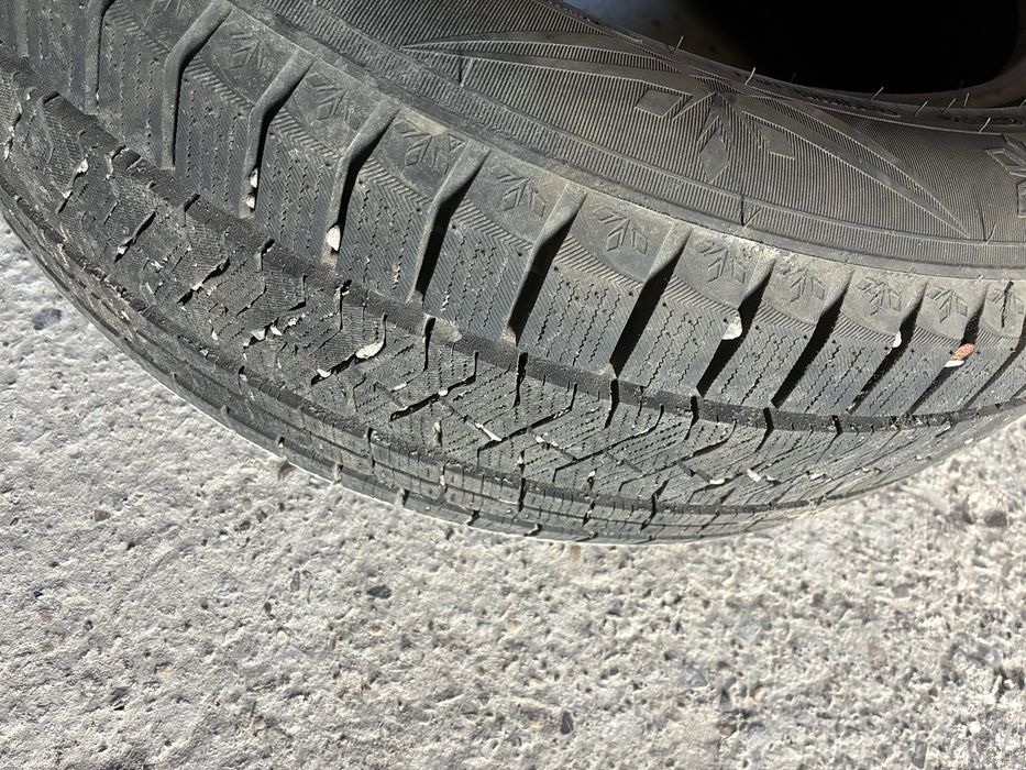 Резина зимняя Triangle Snowlink