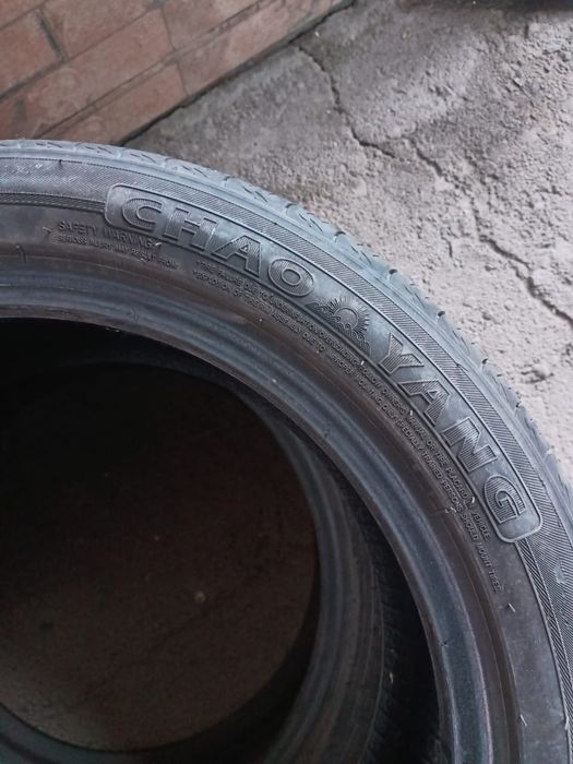 Продам ризину лето