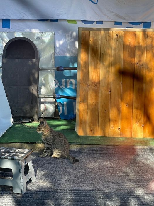 Ciubar nou 4 persoana