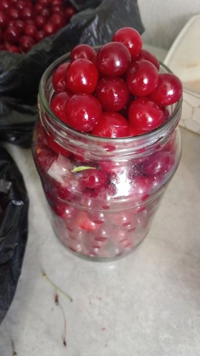 Продам дачную вишню