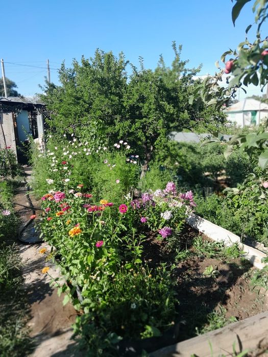 Продам ухоженную дачу на Бобровке