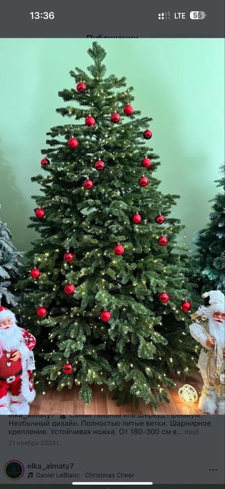 Продам елку высота 180 м