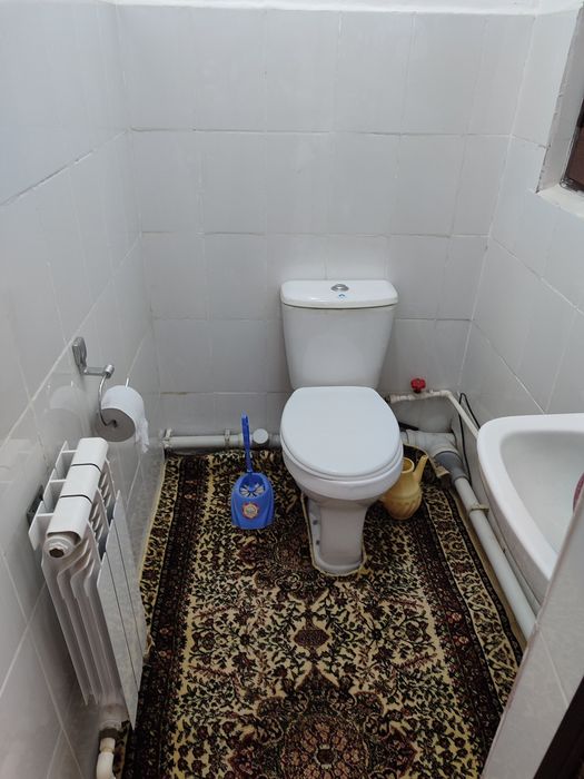 1- Мик, Конечка, отчопар