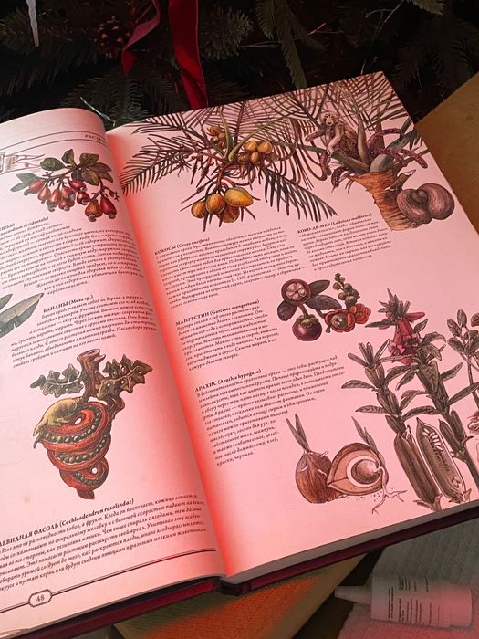 Книга «Как создать цивилизацию заново»