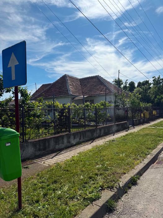 Casa Ludus str, Viorelelor