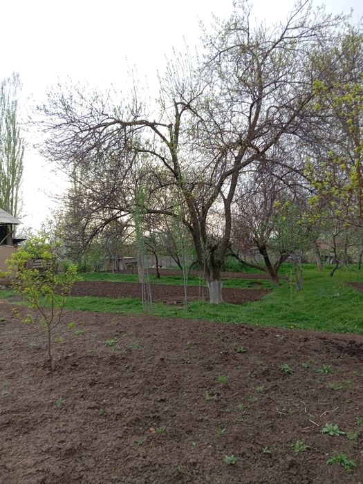 Тошкент вилоятида Бостонлик тумани октошда участка Ер сотилади