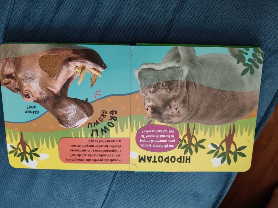 Carte mangaie, simte si asculta