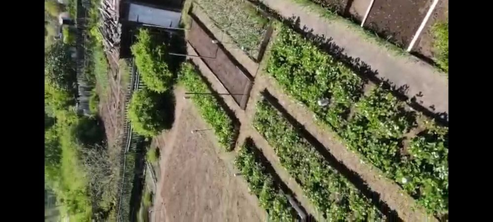 Дача в садовом обществе Горизонт