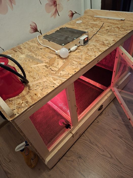 Maternitate pui,capacitate 100 pui lejer,125/65