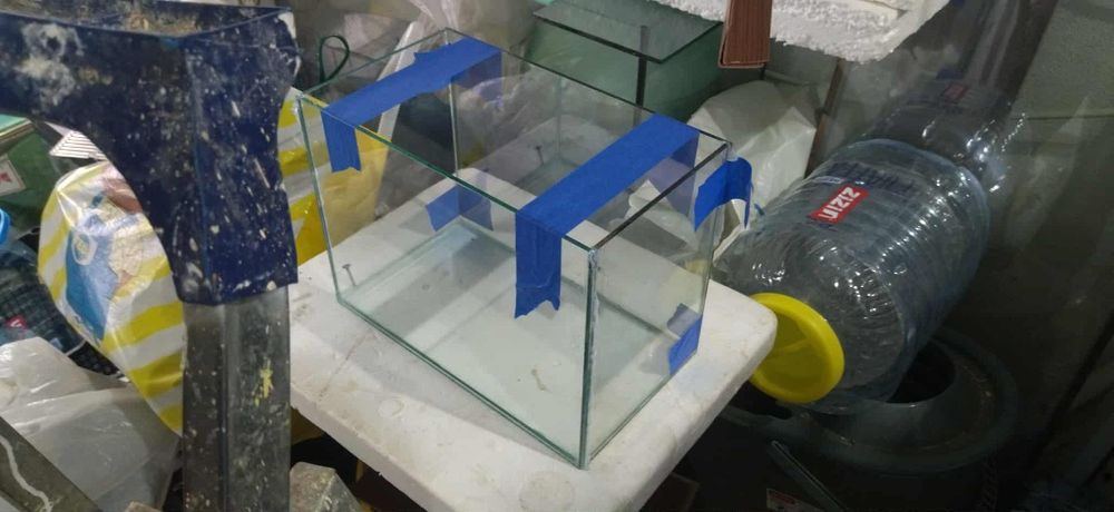 Acvarii și accesorii