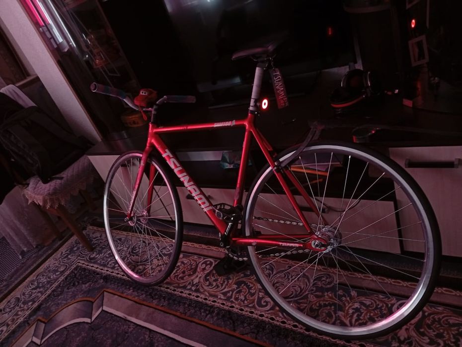 Тсуник фикс снм 100