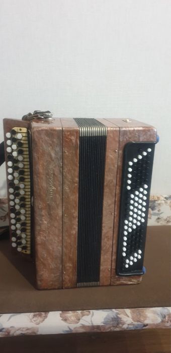 Баян и Аккордеон