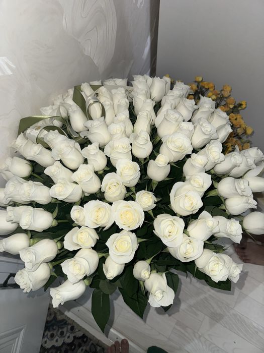 101 роза элить букеттен свежий каз келди
