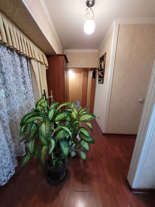 5/5/9 Ц 1 Детский мир