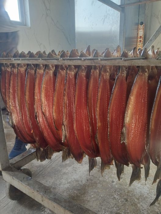 Живая форель ,капченая форель.