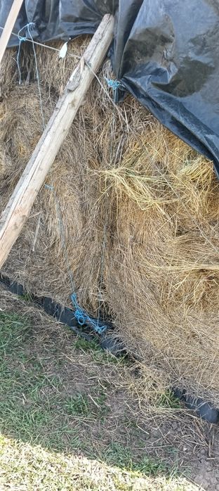 Vând baloți de fan