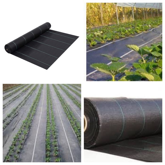 FOLIE MULCIRE-AGROTEXTIL 5.15x50m=650 lei; 5.15x100m= 1.300ei