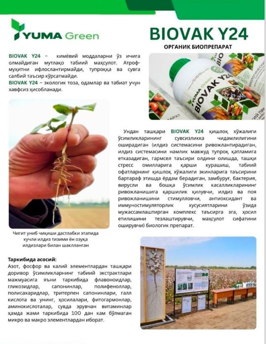 BIOVAK Y 24  AGRO maxsulot