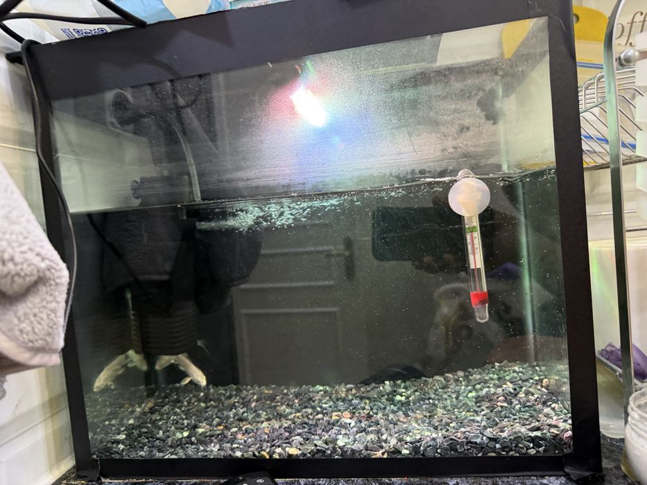 Akvarium va baliqlar sotiladi