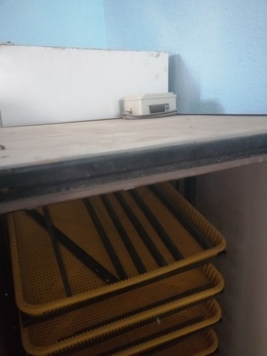 Inkubator sotiladi yoki skuter bilan barter qilinadi