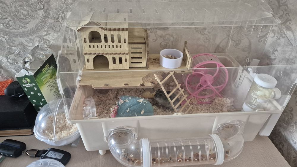 Продам домик вместе с хомиком