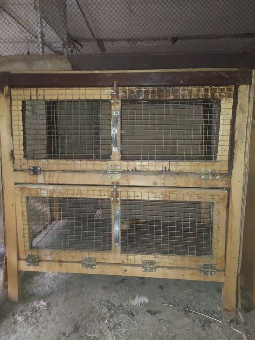 Сетка катак сотилади