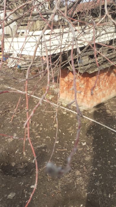 Продам кирпичи..