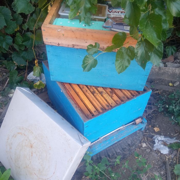 Продавам центрофуга 3брое кошери с рамките и сандъче